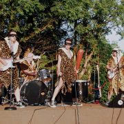 The Neanderthals